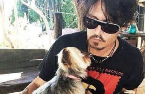 Johnny Depp abandona Australia para que sus dos perros no sean sacrificados