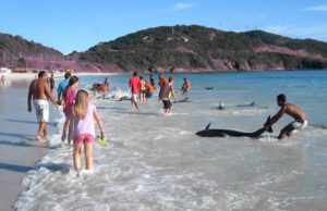 Él simplemente estaba filmando el mar y la playa, cuando de pronto ¡ocurrió algo asombroso!