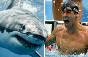 Michael Phelps finalmente cumplió su sueño de enfrentarse a un tiburón blanco en una carrera