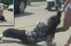 Brutal Venganza Hacia La Amante De Su Padre En Pleno Centro De La Ciudad
