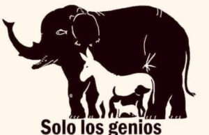 ¿Puedes ver los 13 animales en la imagen? reto visual