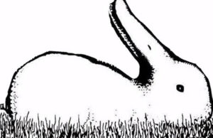 ¿Pato o Conejo, que animal ves primero? Esto podría revelar mucho sobre tu personalidad