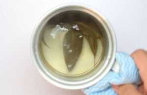 Poner a hervir ramas de eucalipto en agua