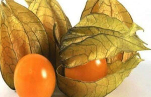 Una fruta muy maravilla