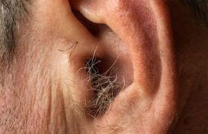 Sabías que si te crecen pelos en las orejas es porque tu cuerpo está