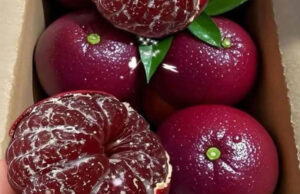 Los beneficios de la toronja morada