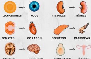 La comida es medicina