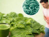 Esta planta verde limpia intestinos e hígado de forma natural