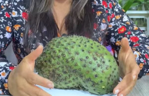 Esta es la fruta que debe comer para prevenir